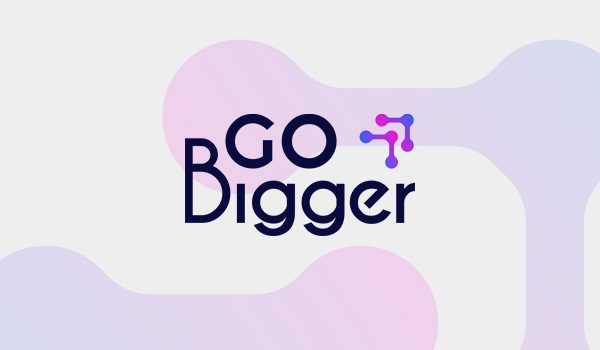no-image-gobigger